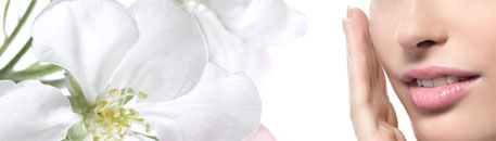 Skincare Series
