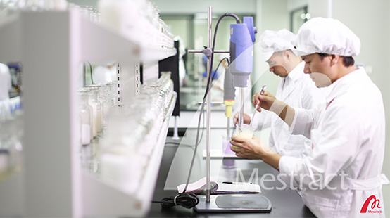 Mestract R & D Field