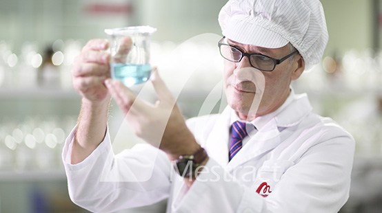 Mestract R & D Center